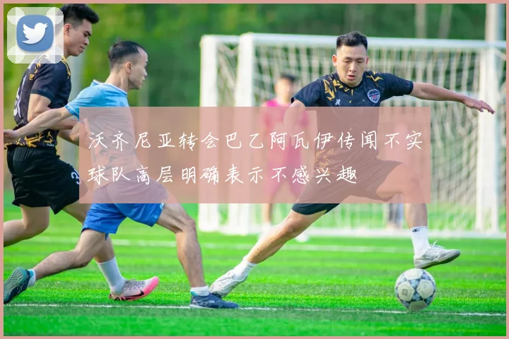 沃齐尼亚转会巴乙阿瓦伊传闻不实球队高层明确表示不感兴趣